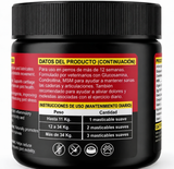 VitalKead — Articulaciones