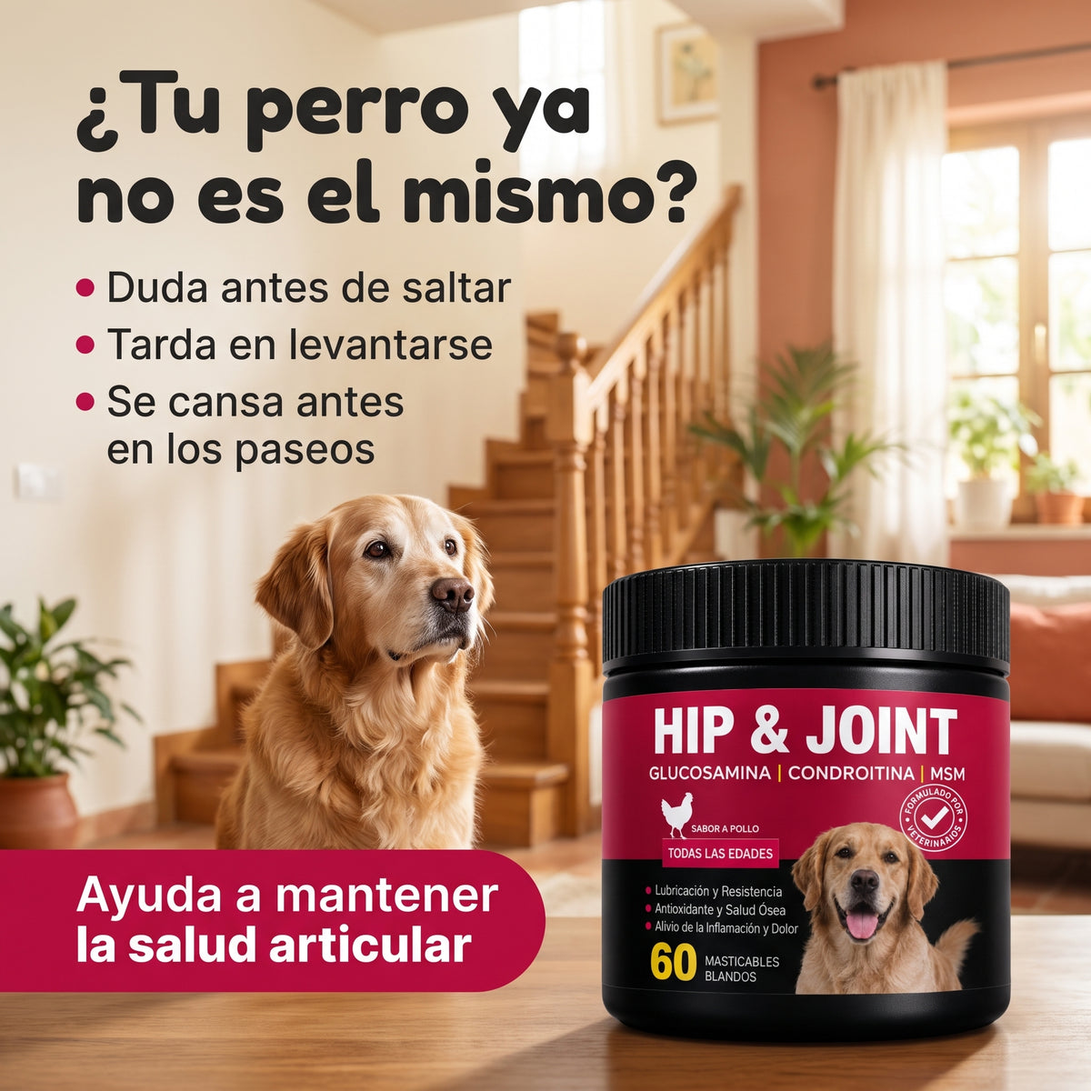 VitalKead — Articulaciones