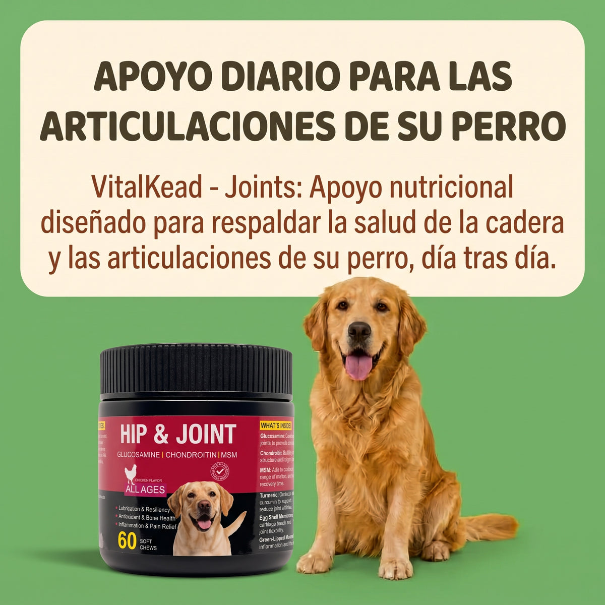 VitalKead — Articulaciones